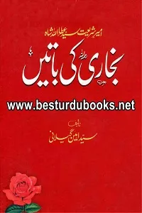 Bukhari ki Baatien By Syed Ameen Gilani