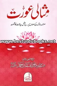 Misali Aurat By Maulana Zulfiqar Ahmad Naqshbandi