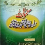 Mamulaat Naqashbandia Mujaddadia By Maulana Zulfiqar Ahmad Naqshbandi