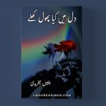 Dil Mein Phool Kya Khilay Novel By Afshan Afridi