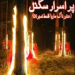 Amber Naag Maria Series Part 66 (Purasrar Signal) Urdu Novel by A Hameed